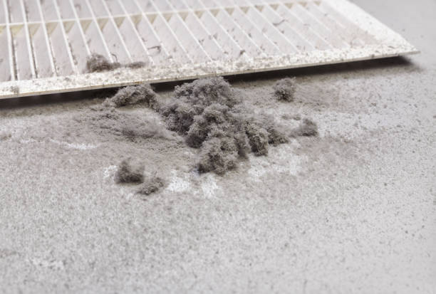 Best Ventilation Cleaning Services  in Kodi Station, AK
