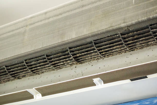 Best HVAC Maintenance and Cleaning  in Kodi Station, AK